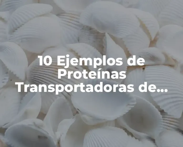 10 Ejemplos de Proteínas Transportadoras de Membrana