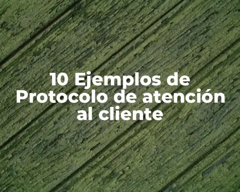 10 Ejemplos de Protocolo de atención al cliente