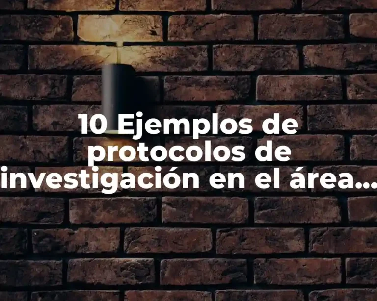 10 Ejemplos de protocolos de investigación en el área de idiomas