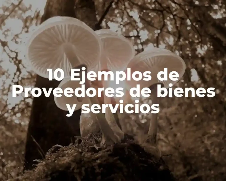 10 Ejemplos de Proveedores de bienes y servicios