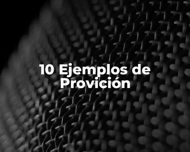 10 Ejemplos de Provición