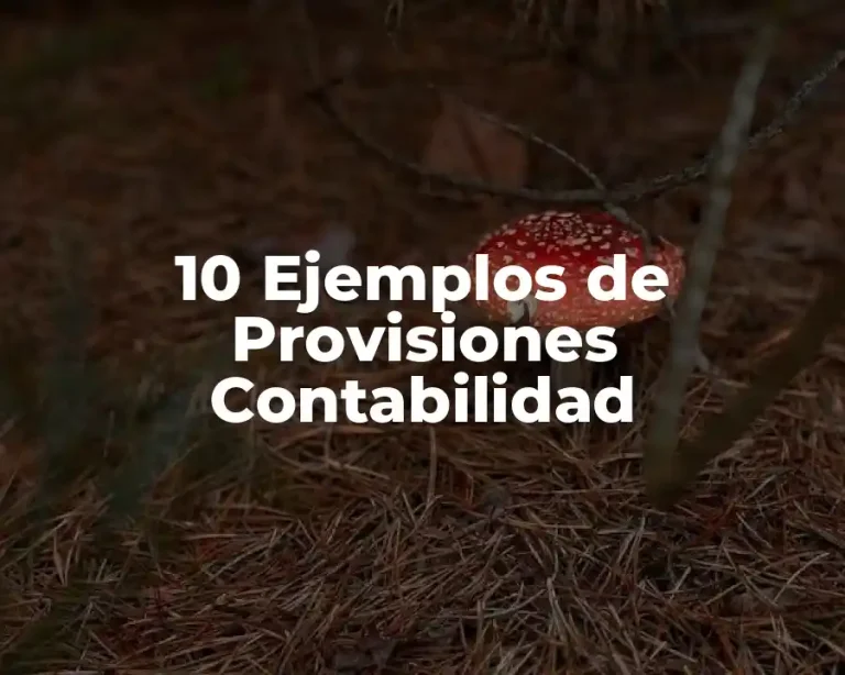 10 Ejemplos de Provisiones Contabilidad
