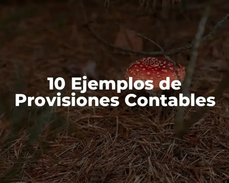 10 Ejemplos de Provisiones Contables