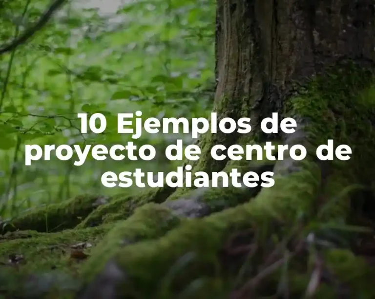 10 Ejemplos de proyecto de centro de estudiantes