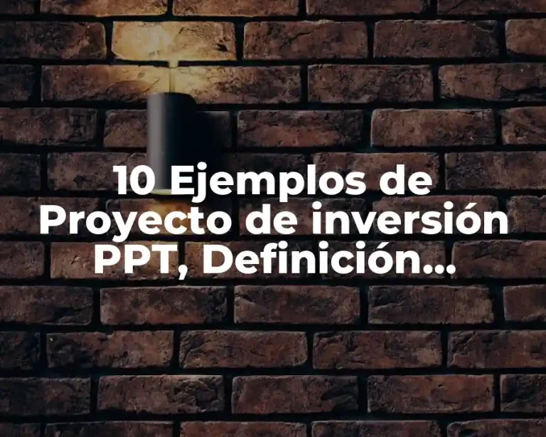 10 Ejemplos de Proyecto de inversión PPT, Definición, Diferencias y para que sirve