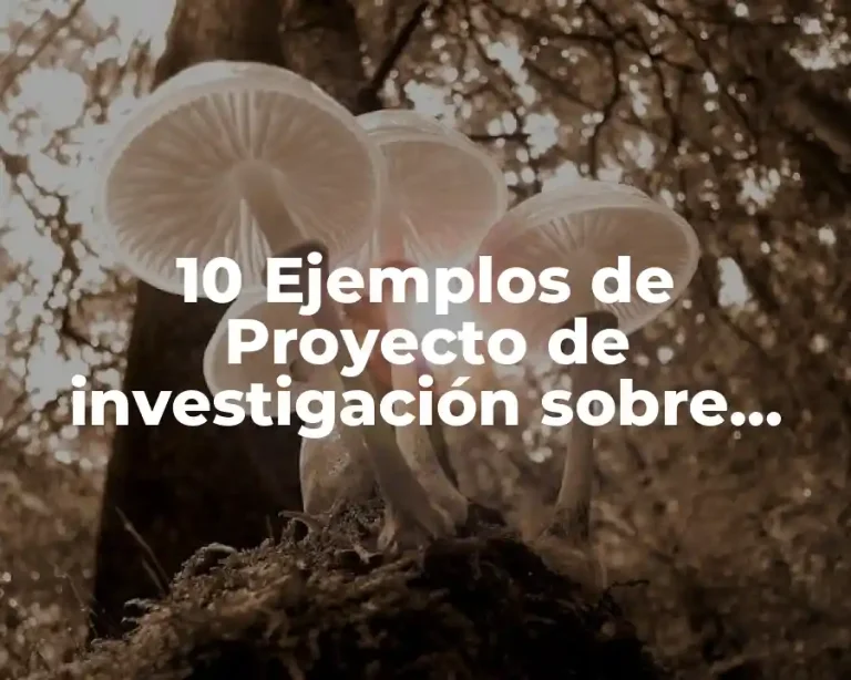 10 Ejemplos de Proyecto de investigación sobre educación