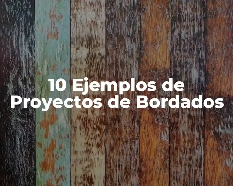 10 Ejemplos de Proyectos de Bordados