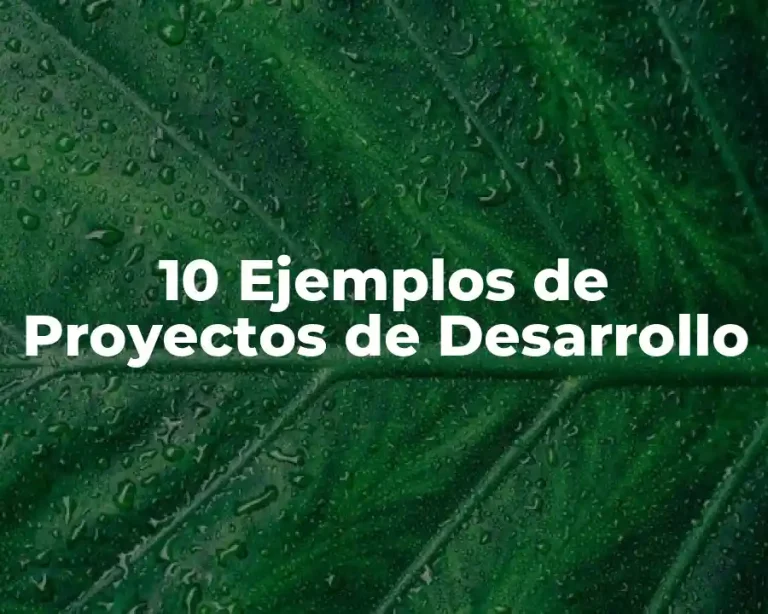 10 Ejemplos de Proyectos de Desarrollo