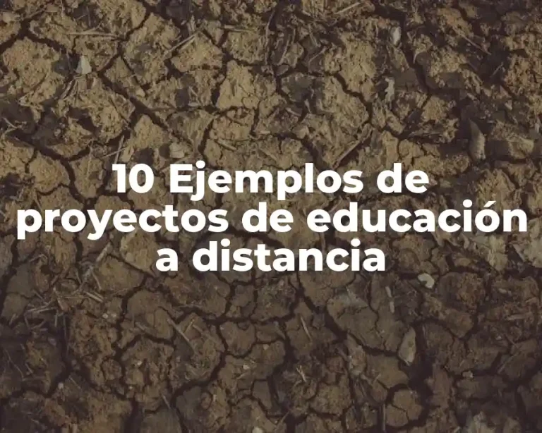10 Ejemplos de proyectos de educación a distancia