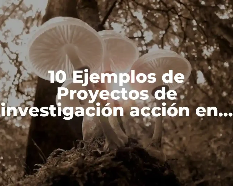 10 Ejemplos de Proyectos de investigación acción en el aula