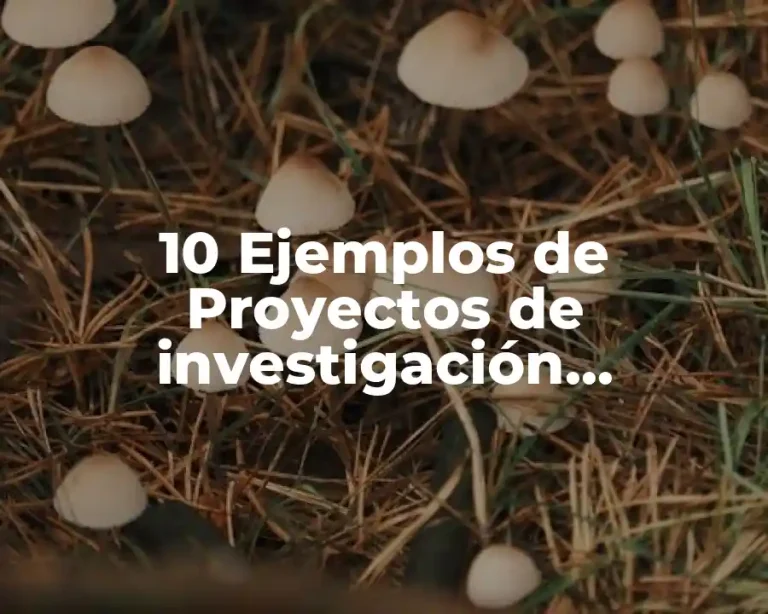 10 Ejemplos de Proyectos de investigación educación física