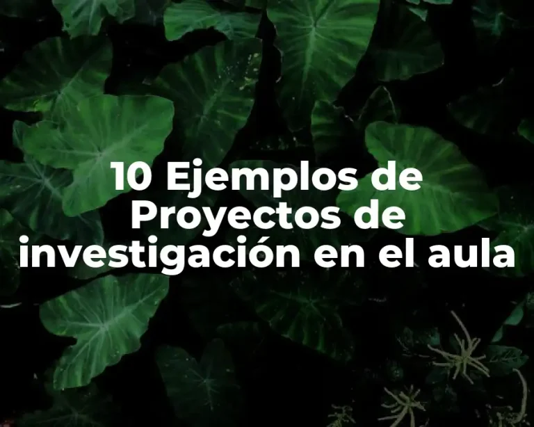 10 Ejemplos de Proyectos de investigación en el aula