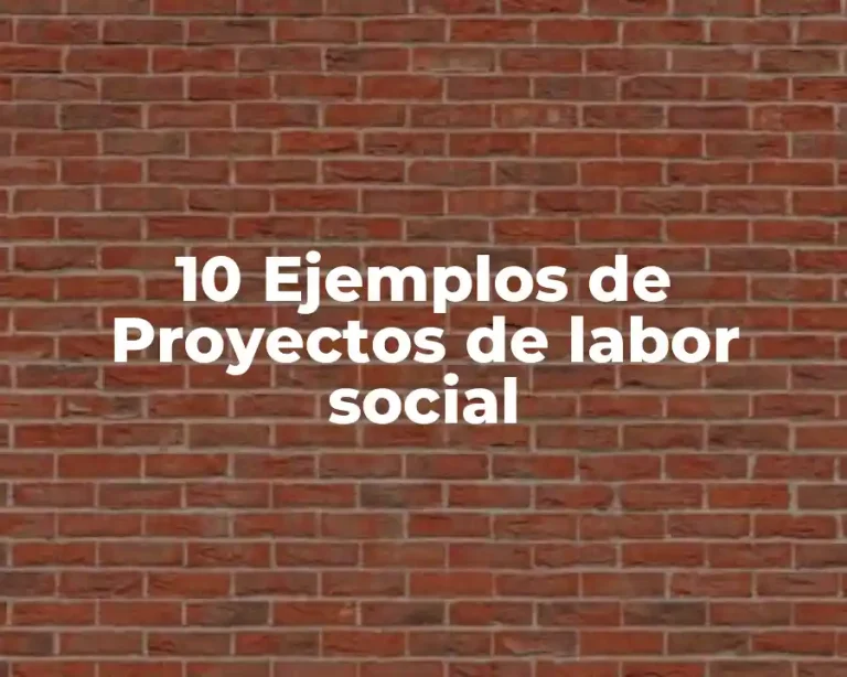 10 Ejemplos de Proyectos de labor social