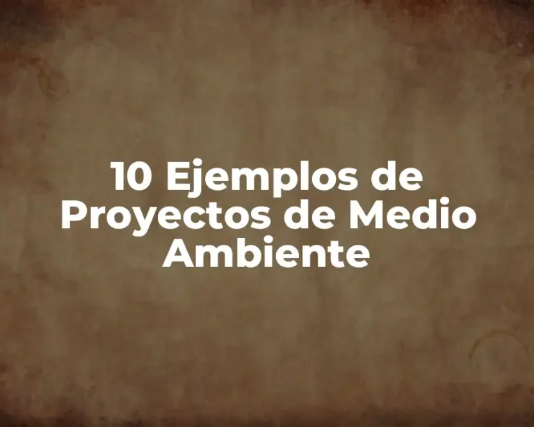 10 Ejemplos de Proyectos de Medio Ambiente