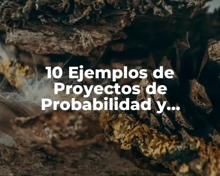 10 Ejemplos de Proyectos de Probabilidad y Estadística