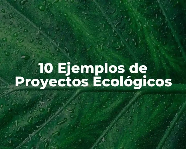 10 Ejemplos de Proyectos Ecológicos
