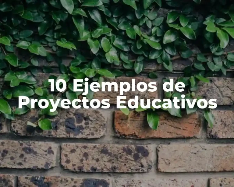 10 Ejemplos de Proyectos Educativos