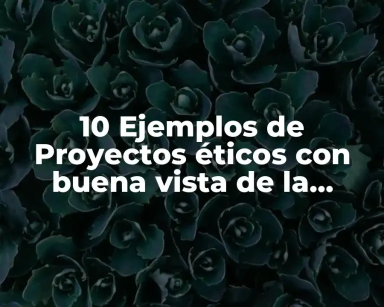 10 Ejemplos de Proyectos éticos con buena vista de la sociedad