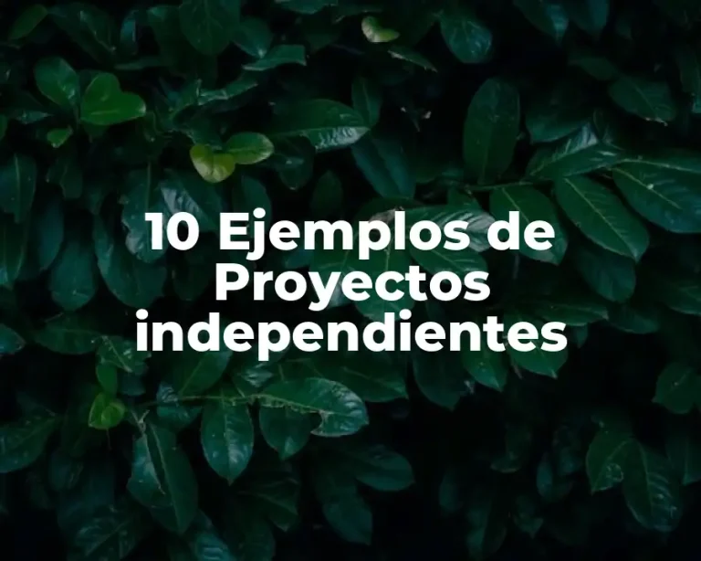 10 Ejemplos de Proyectos independientes