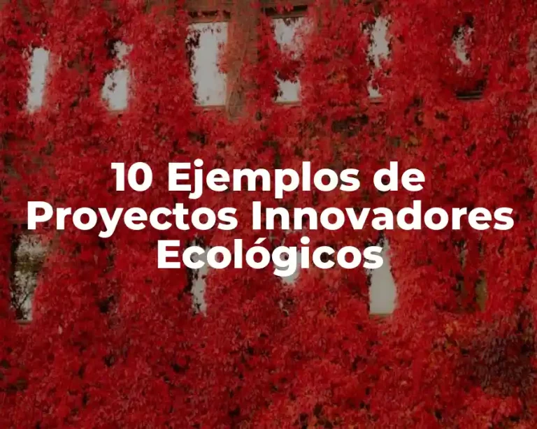 10 Ejemplos de Proyectos Innovadores Ecológicos