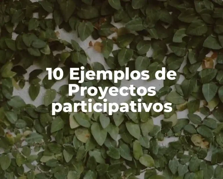 10 Ejemplos de Proyectos participativos