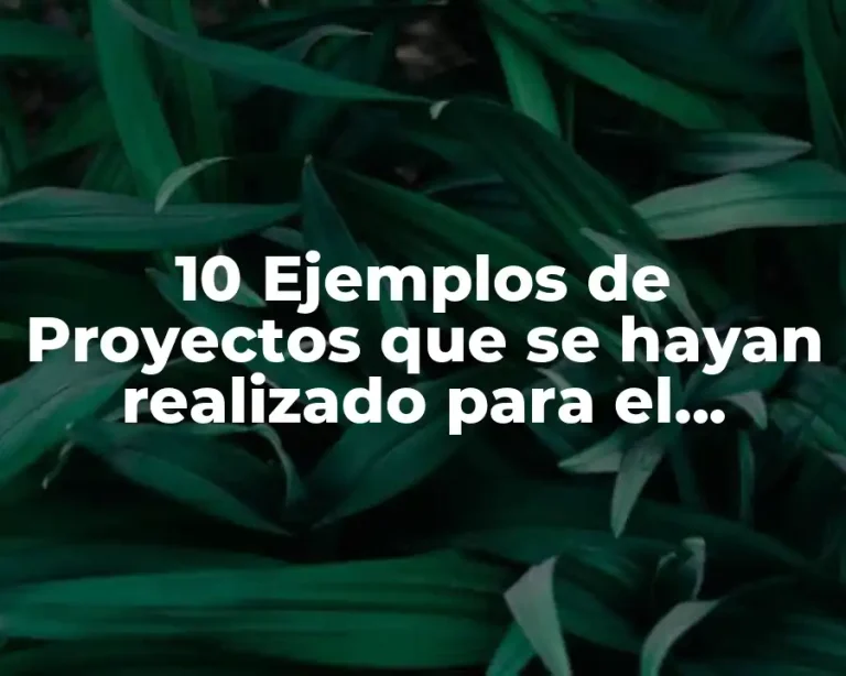 10 Ejemplos de Proyectos que se hayan realizado para el desarrollo sustentable
