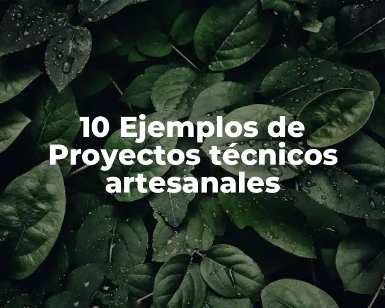 10 Ejemplos de Proyectos técnicos artesanales