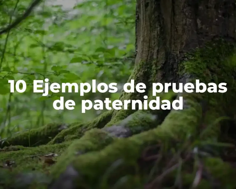 10 Ejemplos de pruebas de paternidad