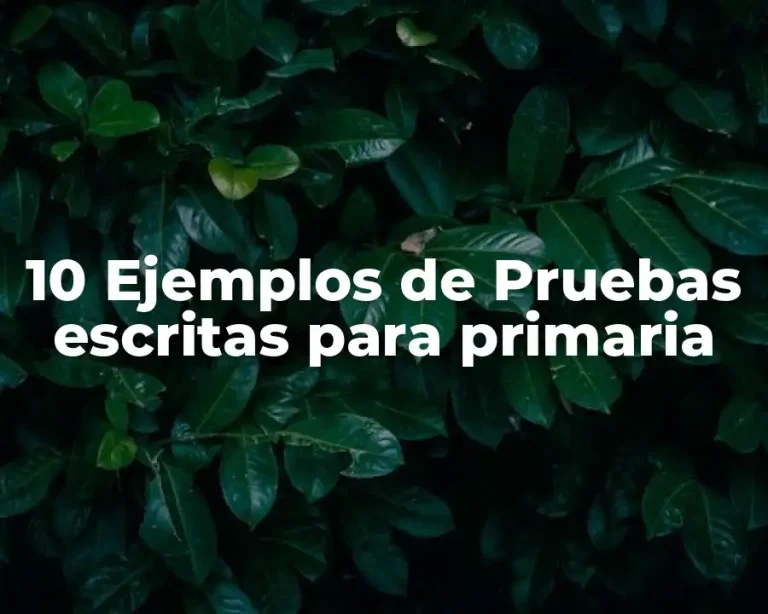 10 Ejemplos de Pruebas escritas para primaria