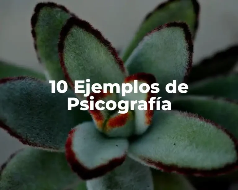 10 Ejemplos de Psicografía