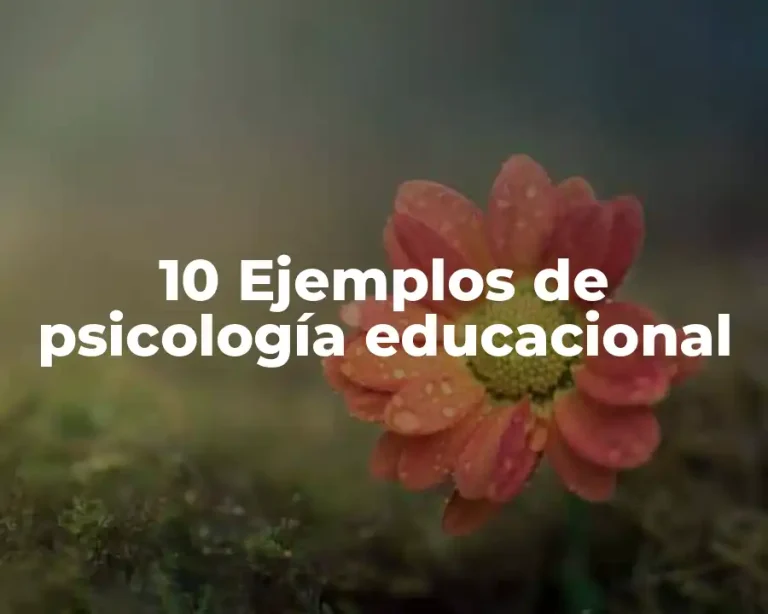 10 Ejemplos de psicología educacional