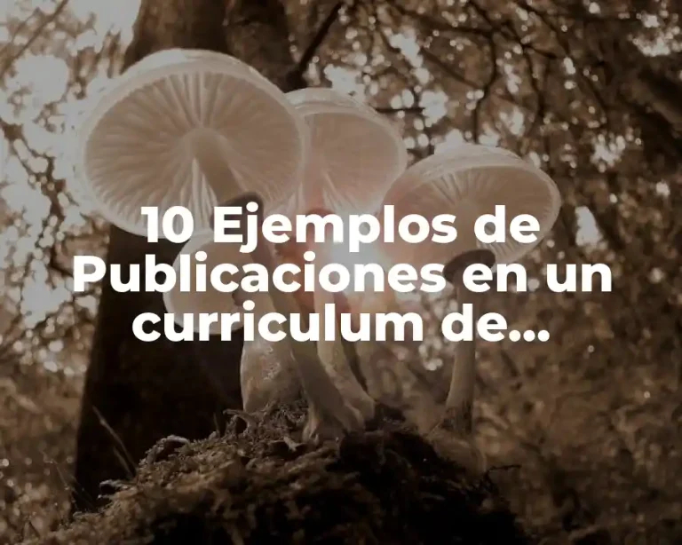 10 Ejemplos de Publicaciones en un curriculum de licenciatura en Informática