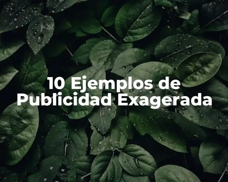 10 Ejemplos de Publicidad Exagerada