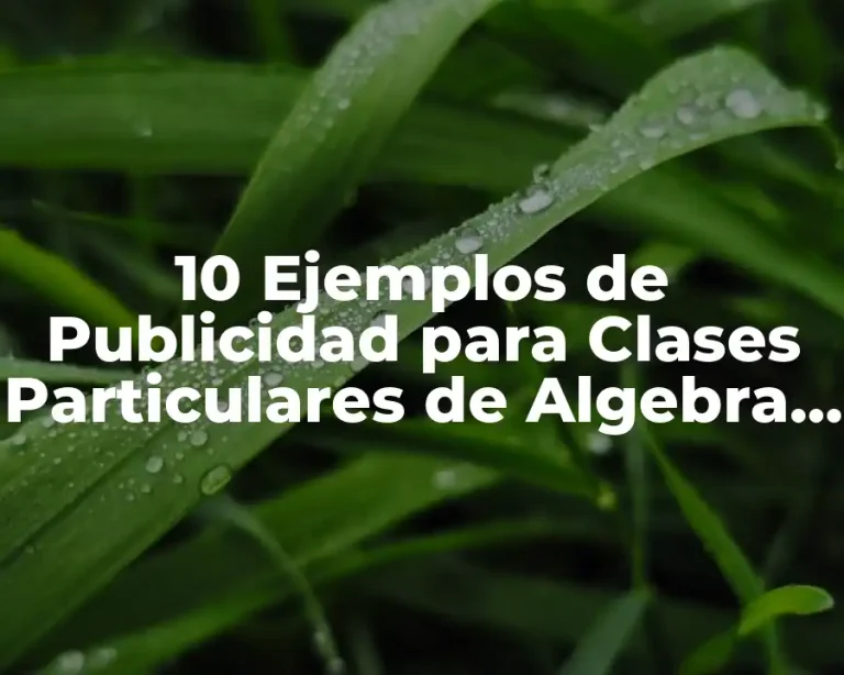 10 Ejemplos de Publicidad para Clases Particulares de Algebra y Trigonometria