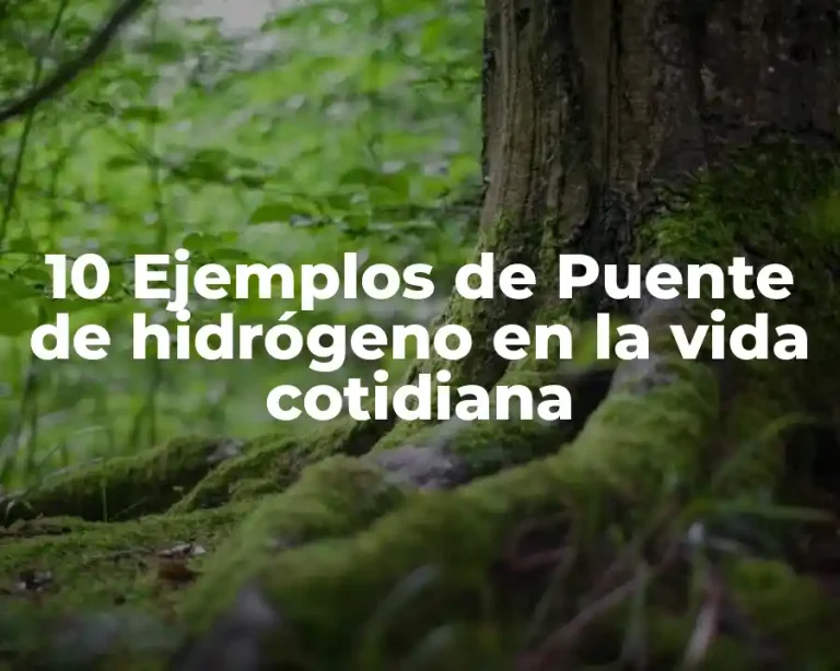 10 Ejemplos de Puente de hidrógeno en la vida cotidiana