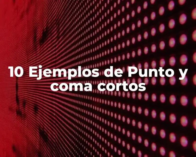10 Ejemplos de Punto y coma cortos