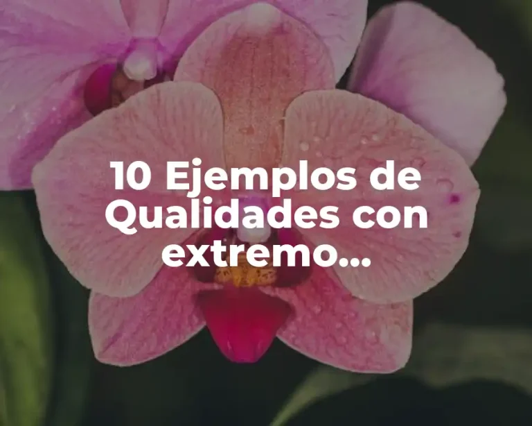 10 Ejemplos de Qualidades con extremo correspondiente que pierde equilibrio