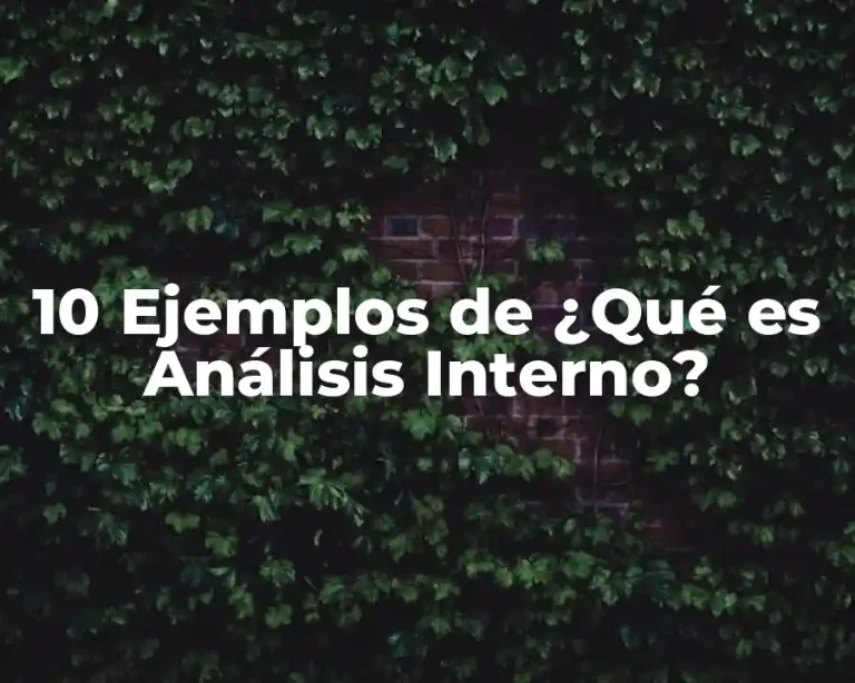 10 Ejemplos de ¿Qué es Análisis Interno?
