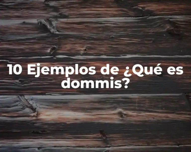 10 Ejemplos de ¿Qué es dommis?