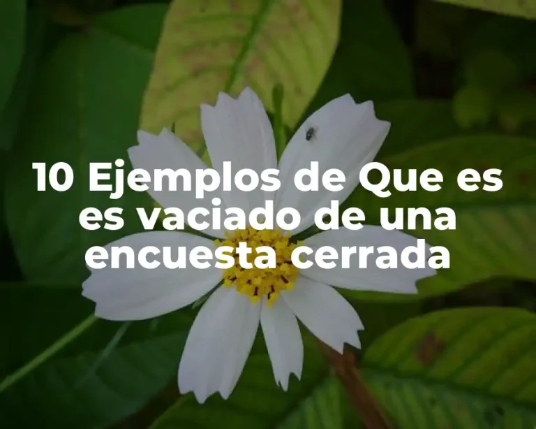 10 Ejemplos de Que es es vaciado de una encuesta cerrada