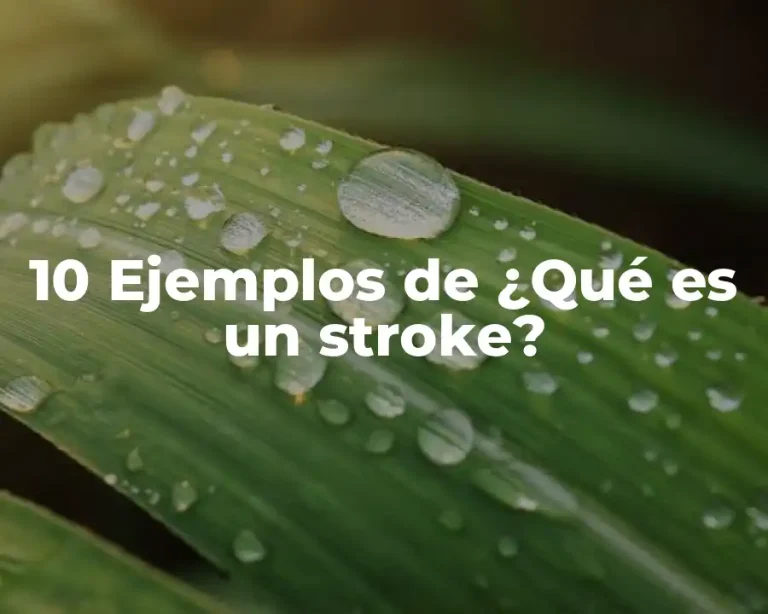 10 Ejemplos de ¿Qué es un stroke?