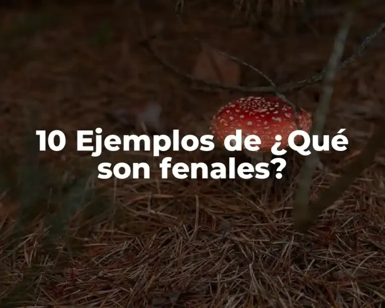 10 Ejemplos de ¿Qué son fenales?