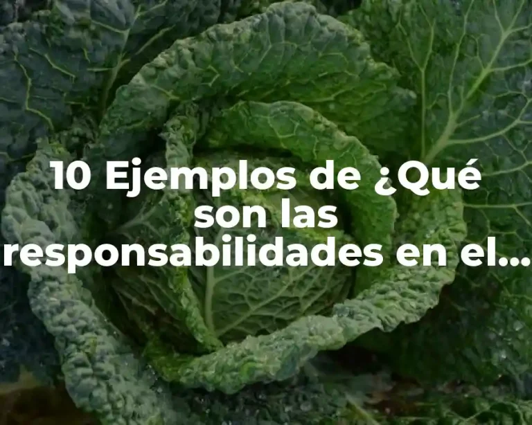 10 Ejemplos de ¿Qué son las responsabilidades en el aula?