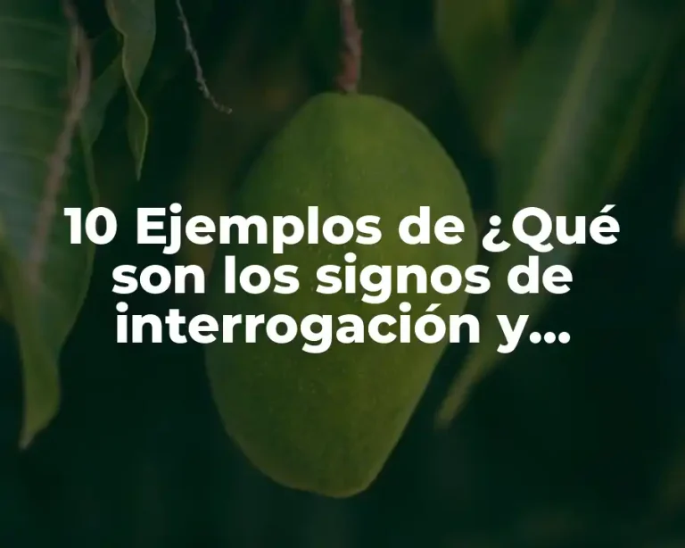 10 Ejemplos de ¿Qué son los signos de interrogación y exclamación?