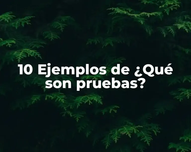 10 Ejemplos de ¿Qué son pruebas?