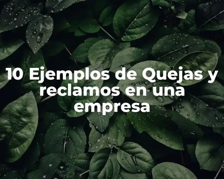 10 Ejemplos de Quejas y reclamos en una empresa