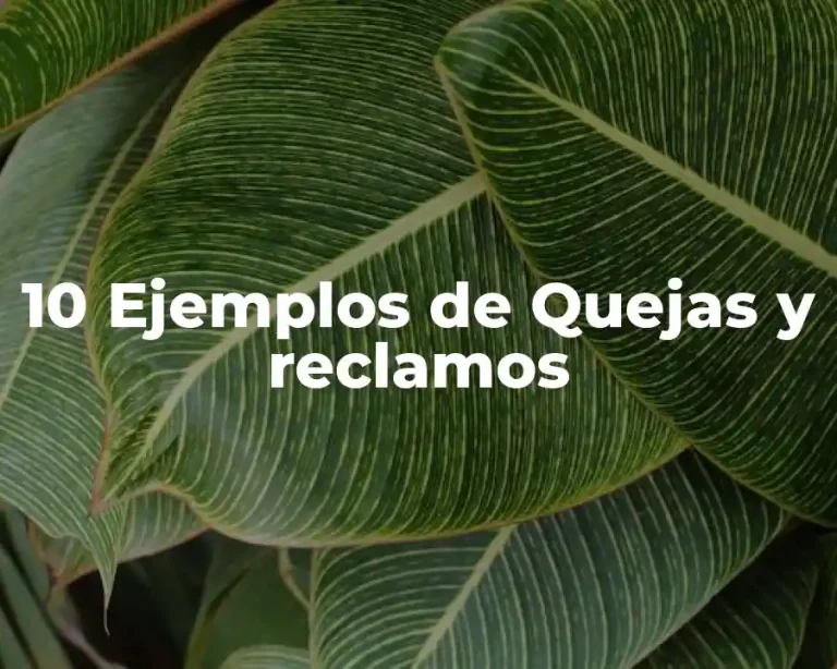 10 Ejemplos de Quejas y reclamos