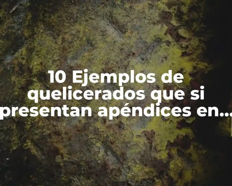 10 Ejemplos de quelicerados que si presentan apéndices en el opistosoma