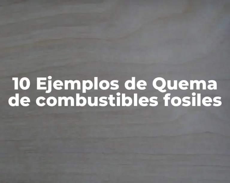 10 Ejemplos de Quema de combustibles fosiles