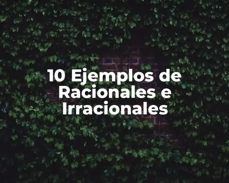 10 Ejemplos de Racionales e Irracionales